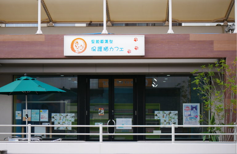 きゃりこ