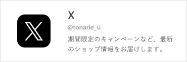 公式X