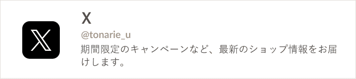 公式X