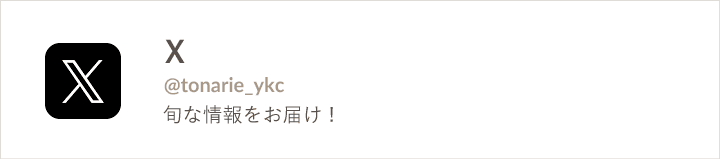 公式X