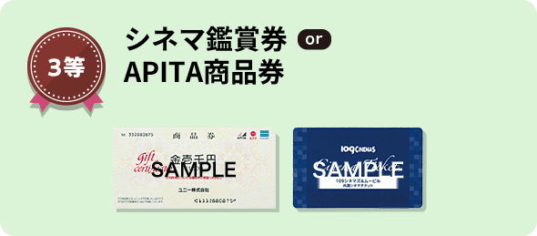 3等 シネマ鑑賞券 or APITA商品券